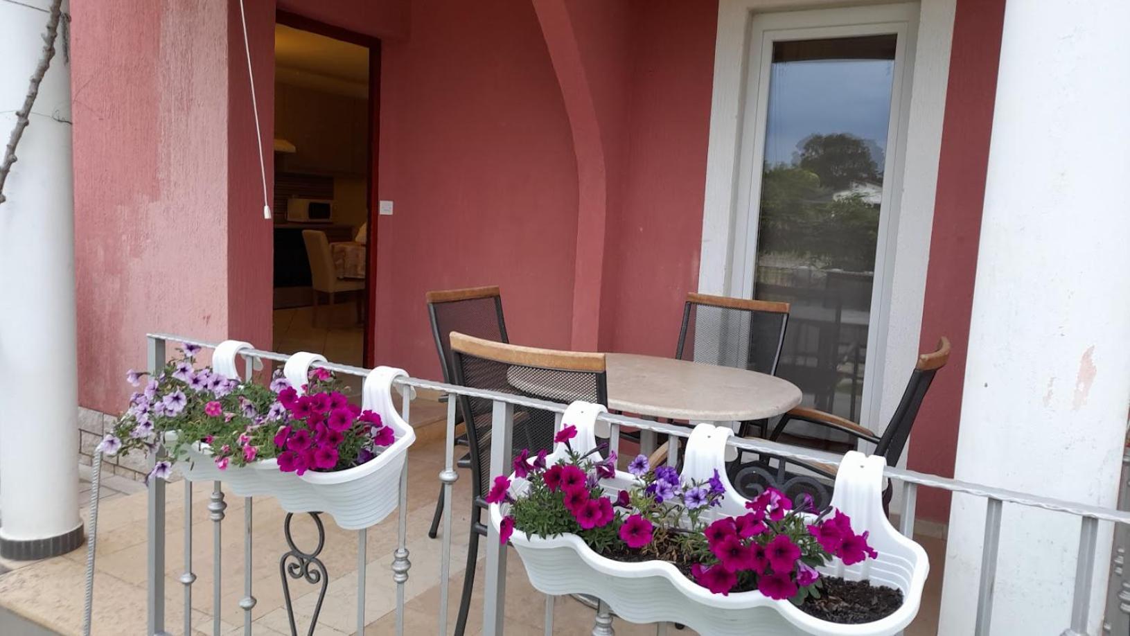 Apartments Dragica Пореч Екстер'єр фото
