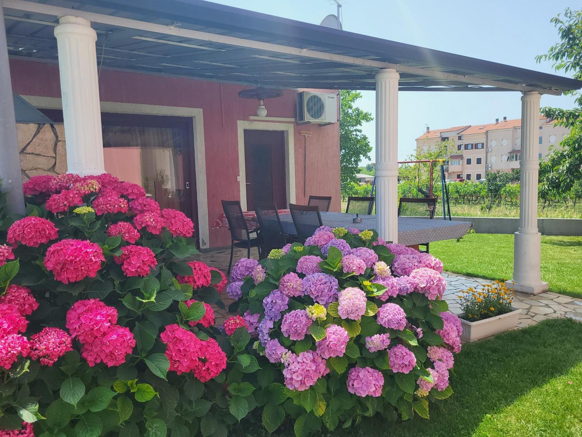 Apartments Dragica Пореч Екстер'єр фото