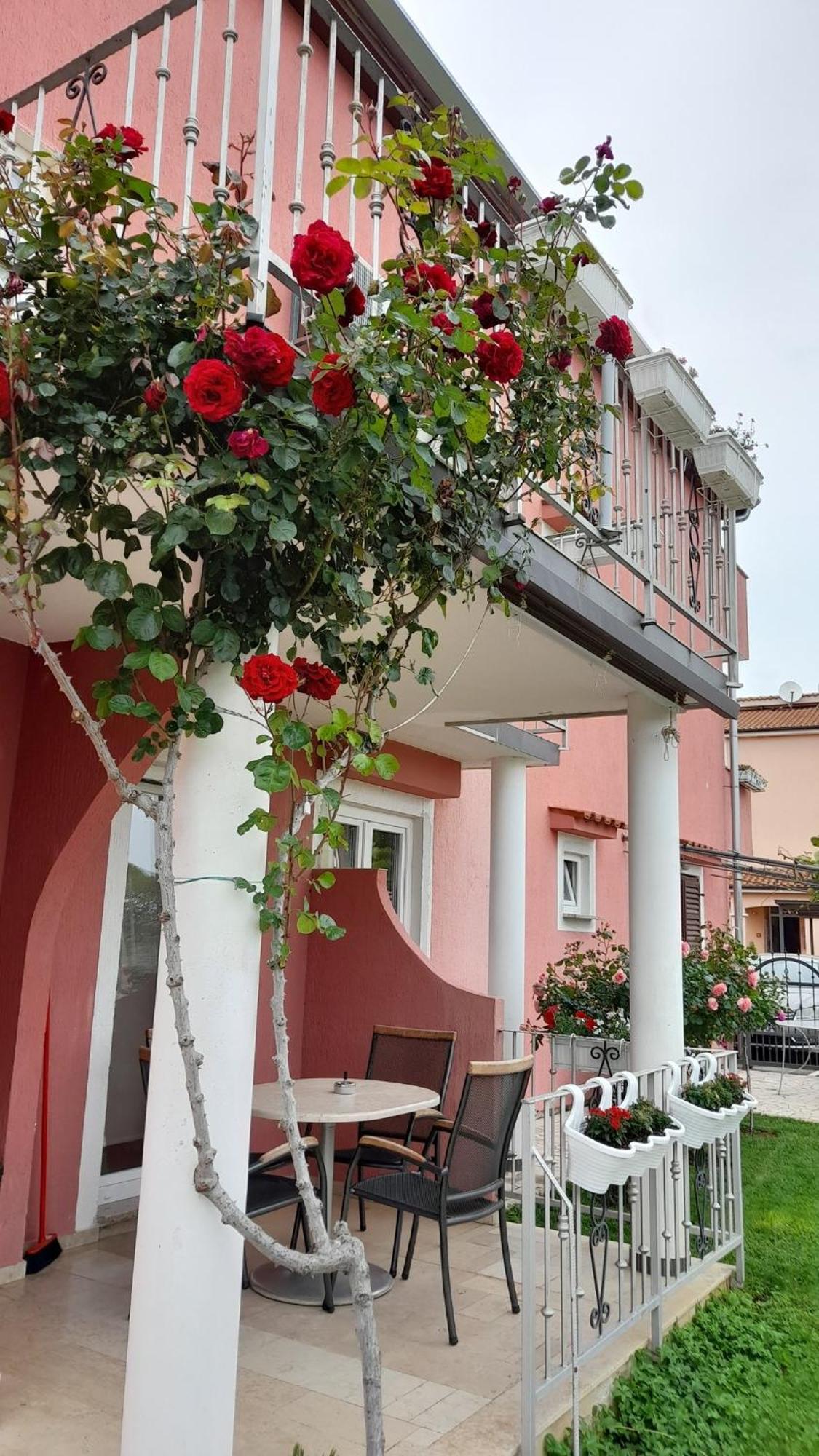 Apartments Dragica Пореч Екстер'єр фото