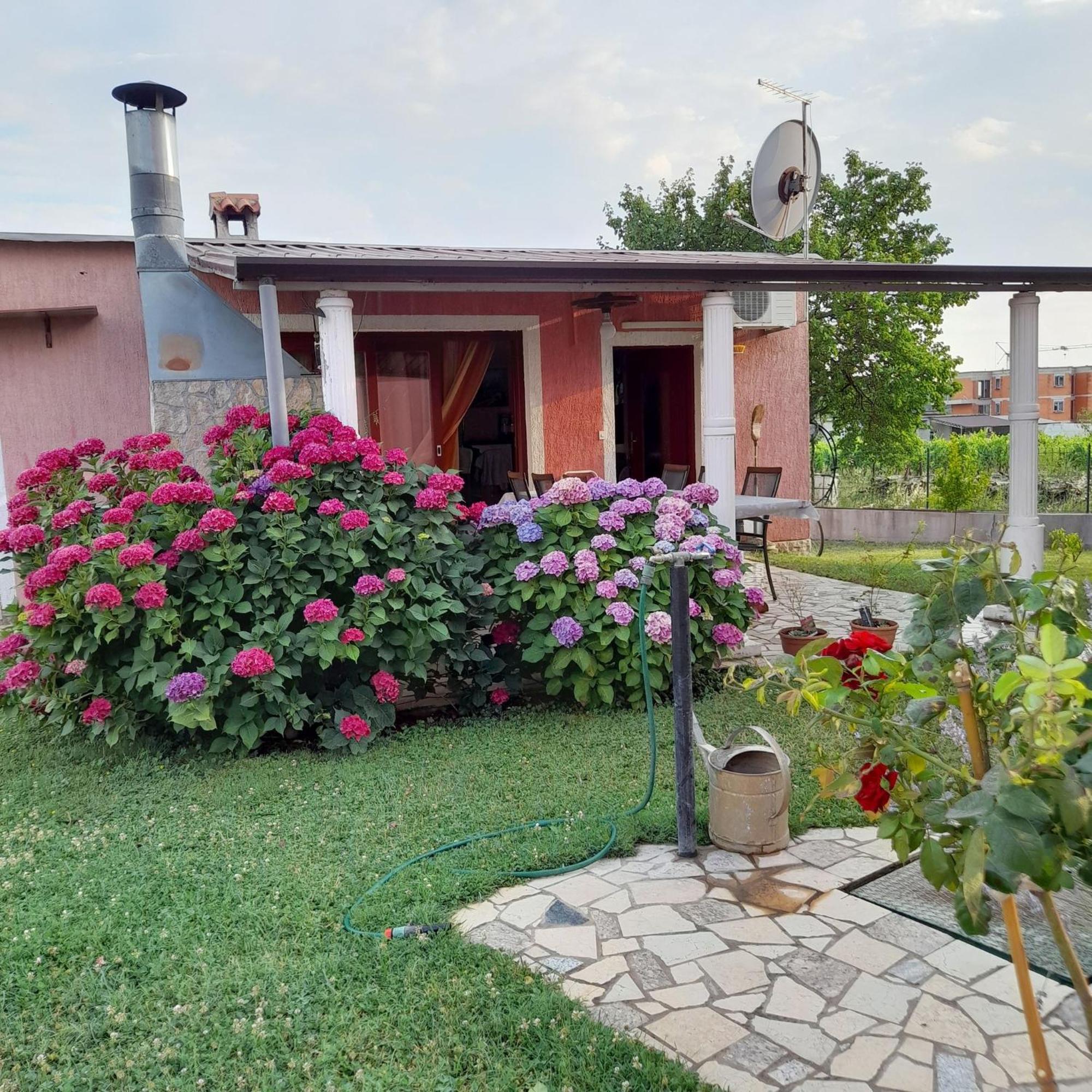 Apartments Dragica Пореч Екстер'єр фото