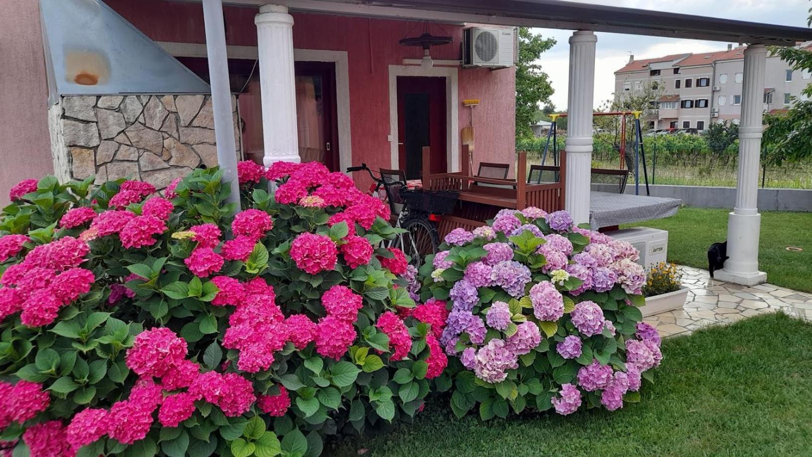 Apartments Dragica Пореч Екстер'єр фото