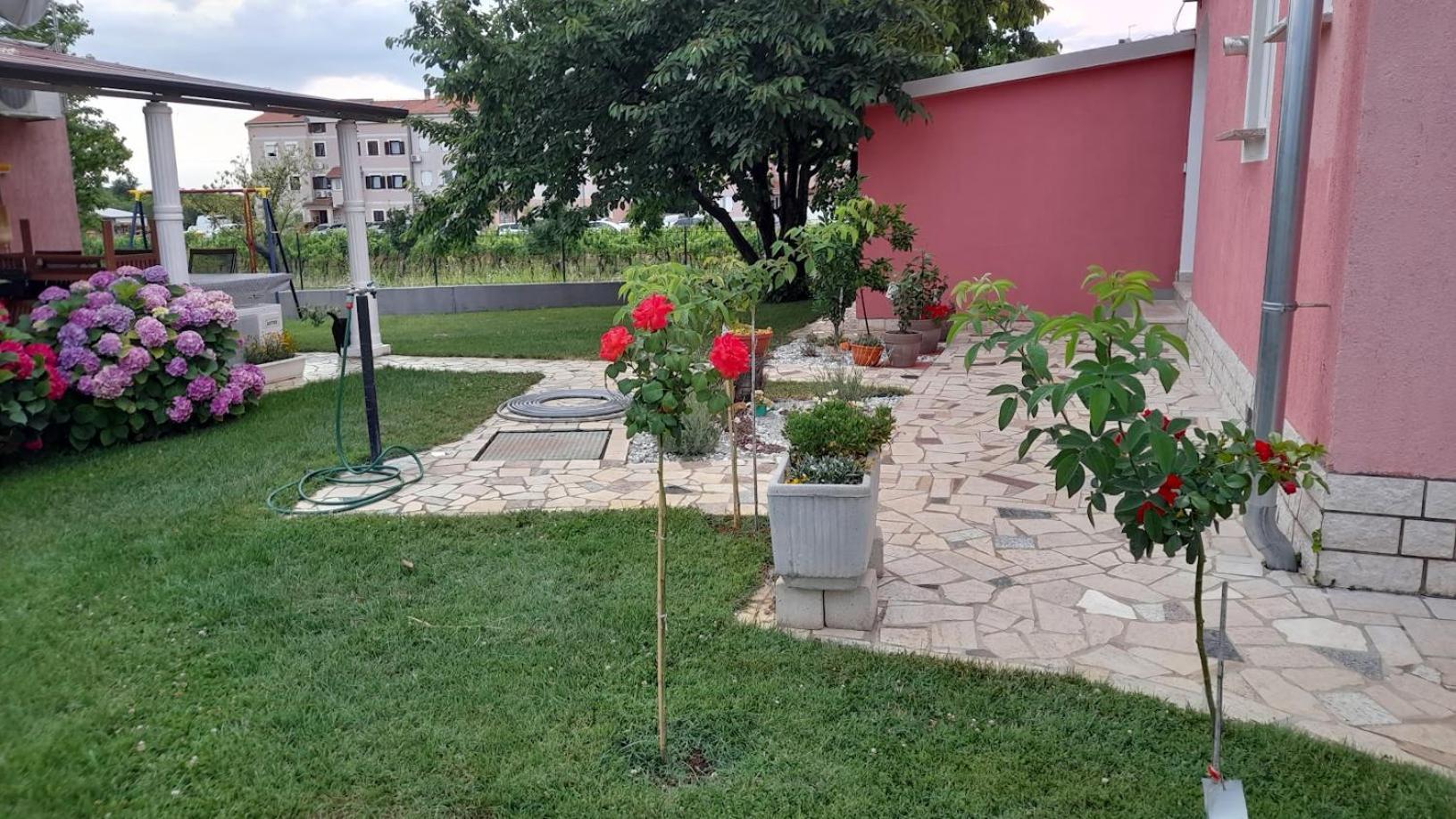 Apartments Dragica Пореч Екстер'єр фото
